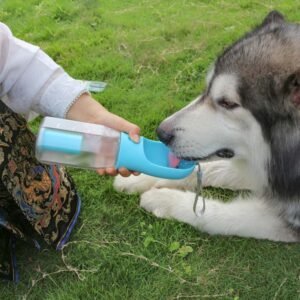 Portable 3-in-1 Dog Water Bottle